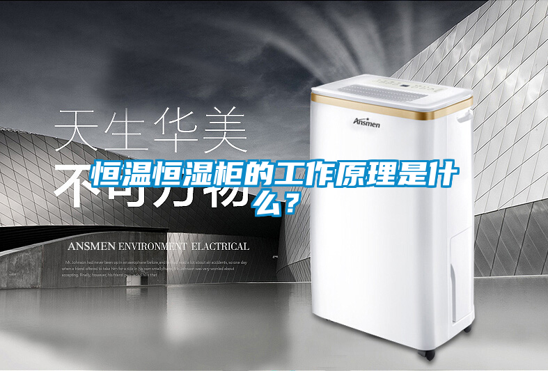 恒溫恒濕柜的工作原理是什么？