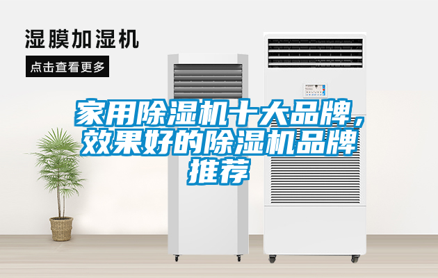 家用除濕機(jī)十大品牌，效果好的除濕機(jī)品牌推薦