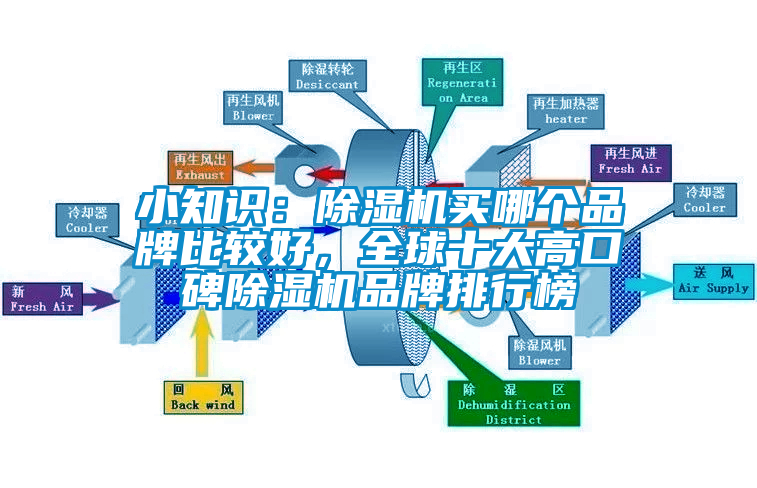小知識：除濕機買哪個品牌比較好，全球十大高口碑除濕機品牌排行榜