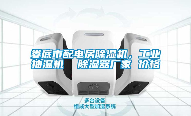 婁底市配電房除濕機(jī)，工業(yè)抽濕機(jī)  除濕器廠家 價(jià)格