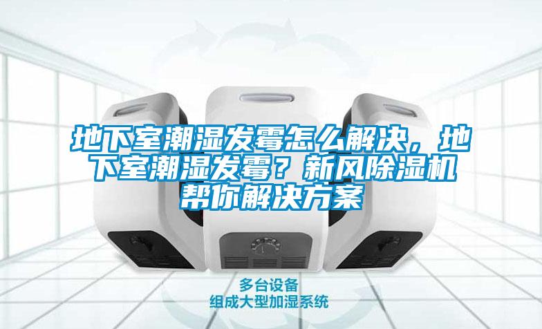 地下室潮濕發(fā)霉怎么解決，地下室潮濕發(fā)霉？新風除濕機幫你解決方案