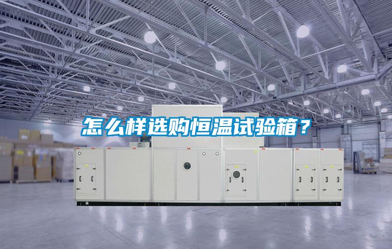 怎么樣選購恒溫試驗箱？