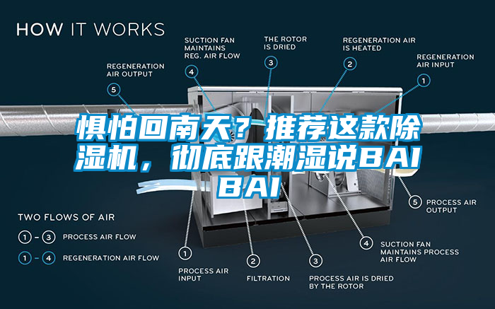 懼怕回南天？推薦這款除濕機，徹底跟潮濕說BAIBAI