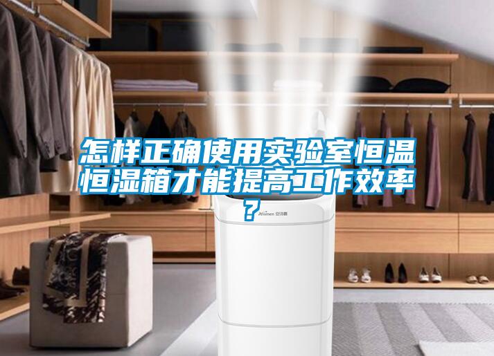 怎樣正確使用實(shí)驗(yàn)室恒溫恒濕箱才能提高工作效率？