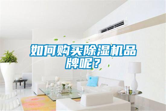 如何購(gòu)買除濕機(jī)品牌呢？