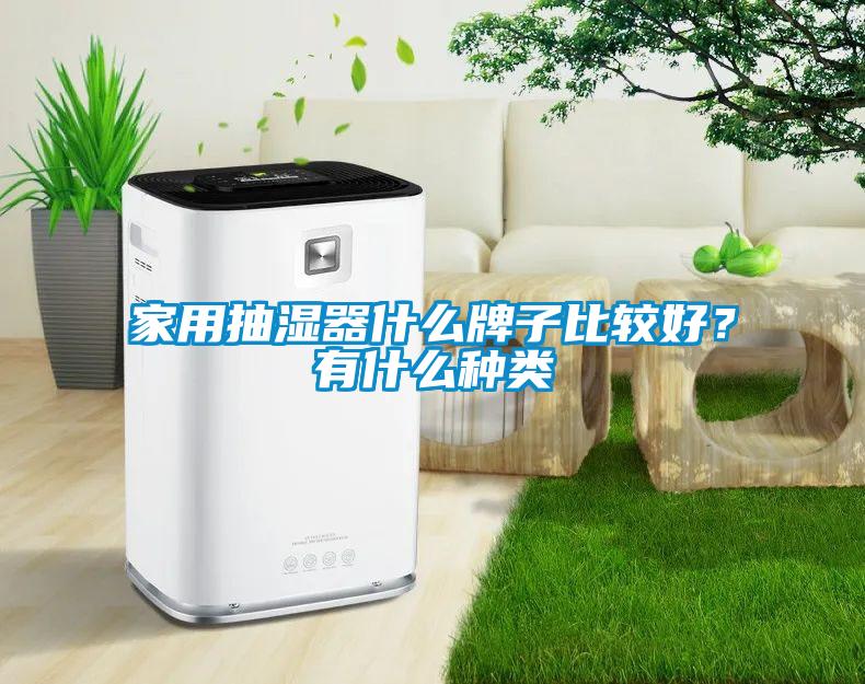 家用抽濕器什么牌子比較好？有什么種類