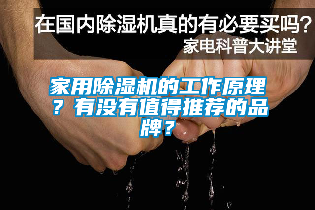 家用除濕機的工作原理？有沒有值得推薦的品牌？