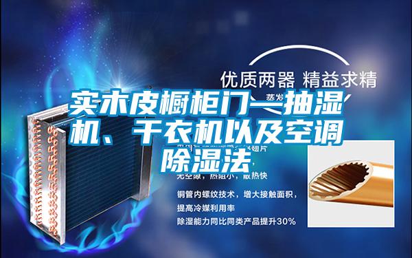 實(shí)木皮櫥柜門(mén)—抽濕機(jī)、干衣機(jī)以及空調(diào)除濕法