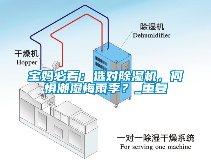 寶媽必看：選對除濕機，何懼潮濕梅雨季？_重復(fù)