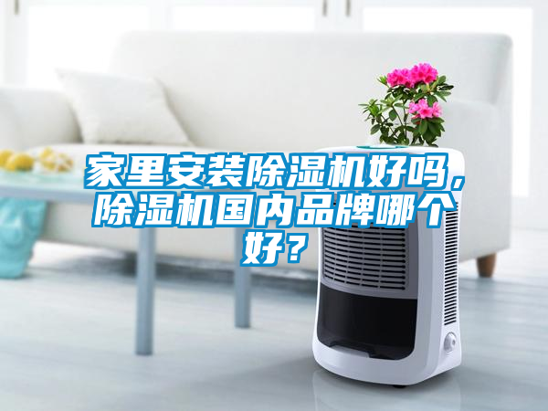 家里安裝除濕機好嗎，除濕機國內品牌哪個好？