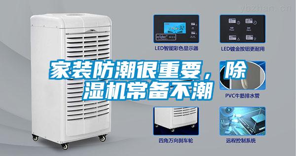 家裝防潮很重要，除濕機常備不潮