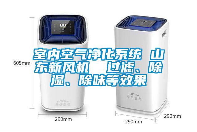 室內(nèi)空氣凈化系統(tǒng) 山東新風(fēng)機(jī)  過(guò)濾、除濕、除味等效果
