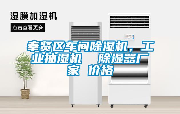 奉賢區(qū)車間除濕機，工業(yè)抽濕機  除濕器廠家 價格