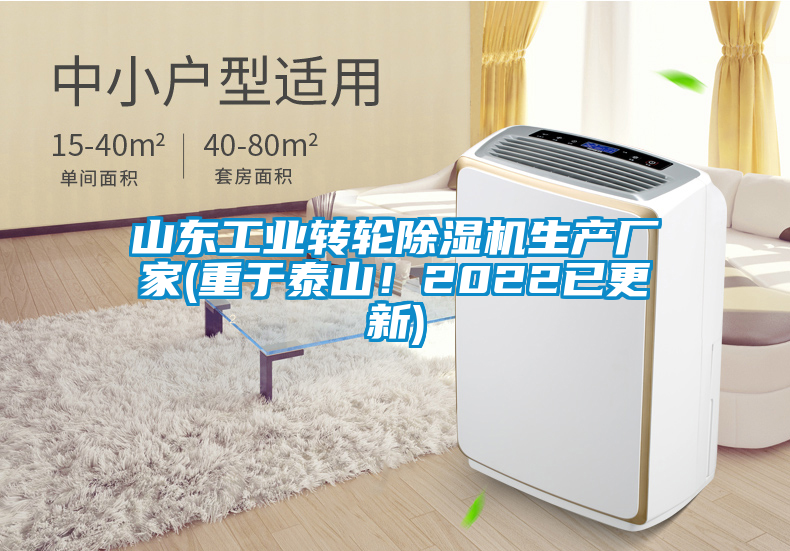 山東工業(yè)轉(zhuǎn)輪除濕機生產(chǎn)廠家(重于泰山！2022已更新)