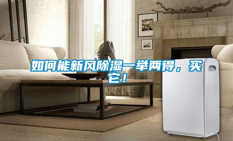 如何能新風除濕一舉兩得，買它！
