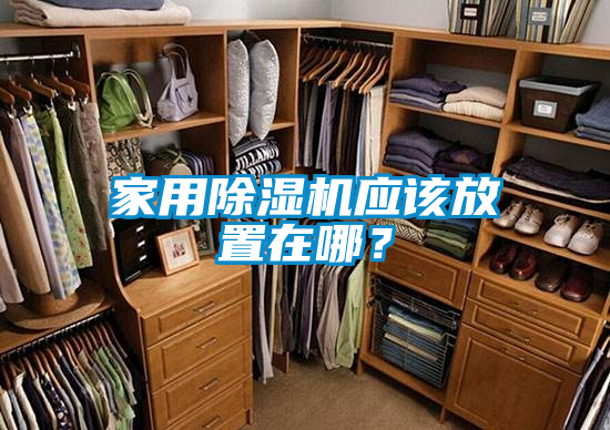家用除濕機應該放置在哪？