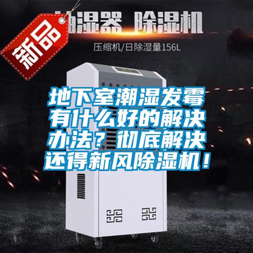 地下室潮濕發(fā)霉有什么好的解決辦法？徹底解決還得新風除濕機！