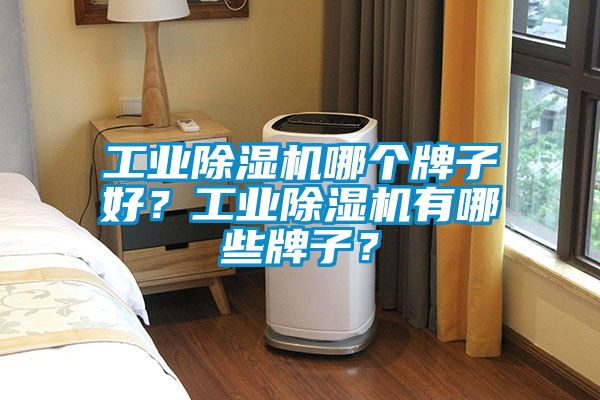 工業(yè)除濕機哪個牌子好？工業(yè)除濕機有哪些牌子？