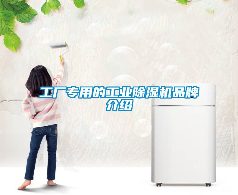 工廠專(zhuān)用的工業(yè)除濕機(jī)品牌介紹