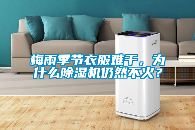 梅雨季節(jié)衣服難干，為什么除濕機(jī)仍然不火？