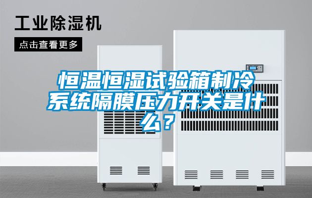 恒溫恒濕試驗(yàn)箱制冷系統(tǒng)隔膜壓力開關(guān)是什么？