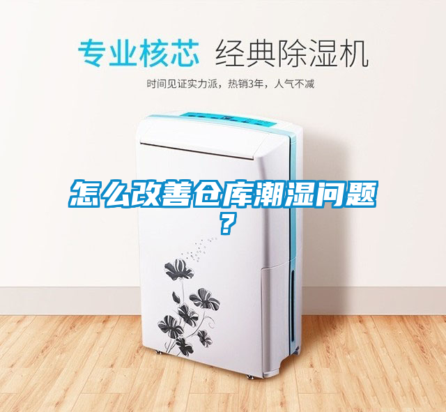 怎么改善倉庫潮濕問題？