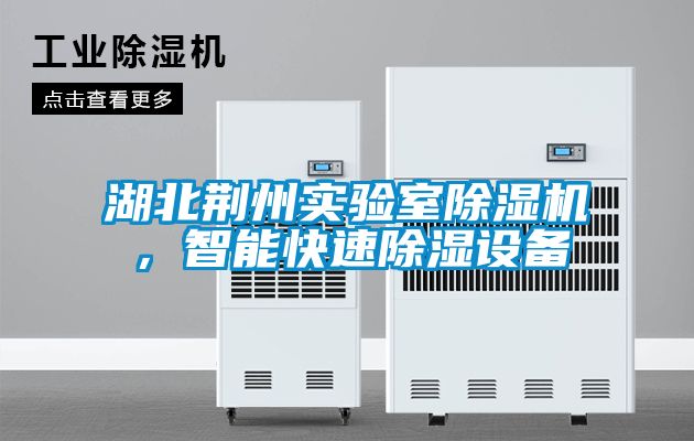 湖北荊州實驗室除濕機，智能快速除濕設備