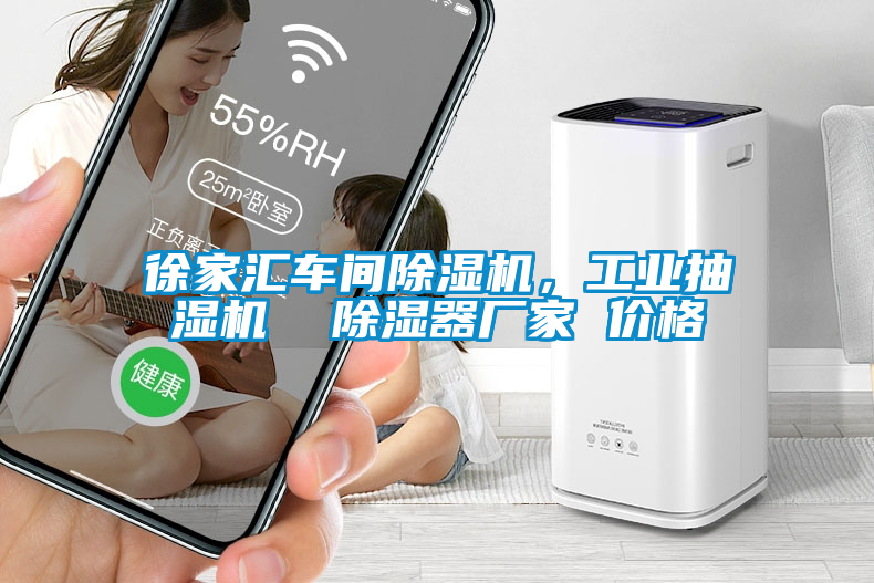 徐家匯車間除濕機，工業(yè)抽濕機  除濕器廠家 價格