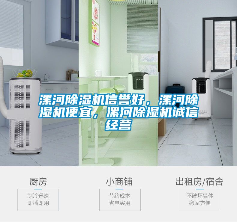 漯河除濕機(jī)信譽(yù)好，漯河除濕機(jī)便宜，漯河除濕機(jī)誠信經(jīng)營