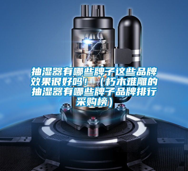 抽濕器有哪些牌子這些品牌效果很好嗎?。ㄐ嗄倦y雕的抽濕器有哪些牌子品牌排行采購榜）