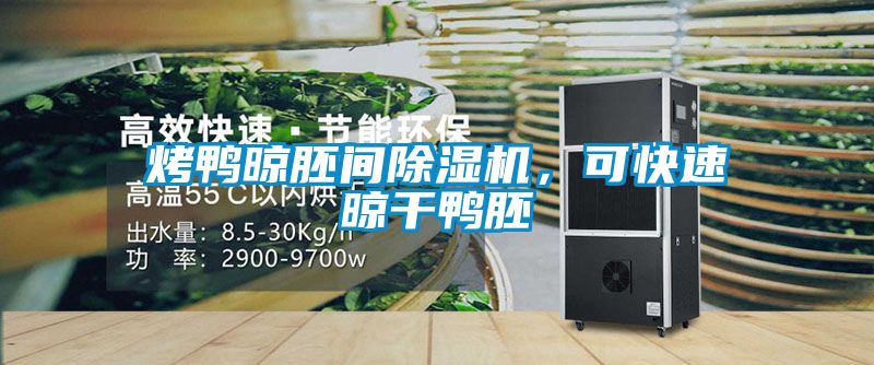 烤鴨晾胚間除濕機，可快速晾干鴨胚