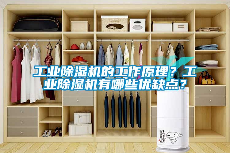 工業(yè)除濕機(jī)的工作原理？工業(yè)除濕機(jī)有哪些優(yōu)缺點(diǎn)？