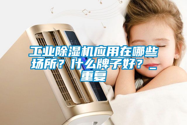工業(yè)除濕機應(yīng)用在哪些場所？什么牌子好？_重復(fù)