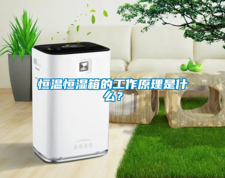 恒溫恒濕箱的工作原理是什么？