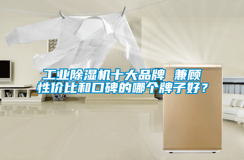 工業(yè)除濕機(jī)十大品牌 兼顧性?xún)r(jià)比和口碑的哪個(gè)牌子好？