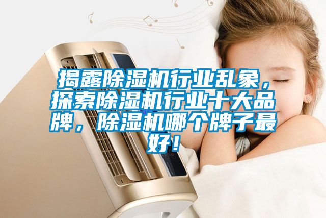 揭露除濕機行業(yè)亂象，探索除濕機行業(yè)十大品牌，除濕機哪個牌子最好！