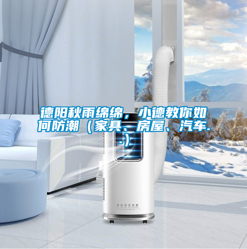 德陽秋雨綿綿，小德教你如何防潮（家具、房屋、汽車..）