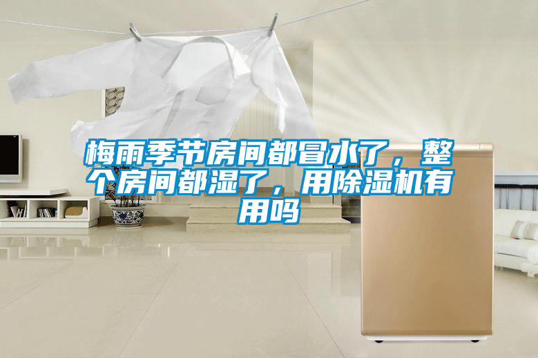 梅雨季節(jié)房間都冒水了，整個(gè)房間都濕了，用除濕機(jī)有用嗎