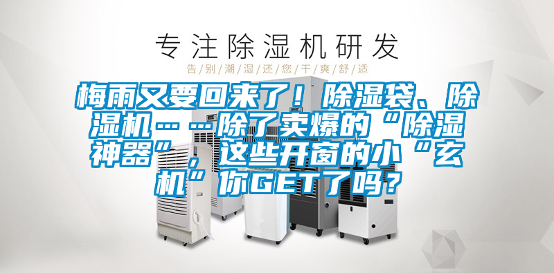 梅雨又要回來(lái)了！除濕袋、除濕機(jī)……除了賣爆的“除濕神器”，這些開窗的小“玄機(jī)”你GET了嗎？