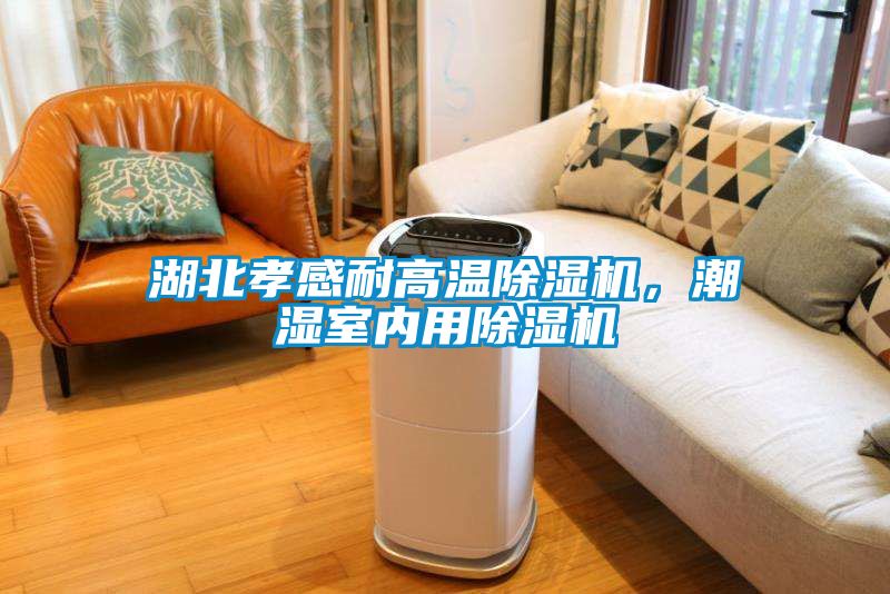 湖北孝感耐高溫除濕機，潮濕室內(nèi)用除濕機