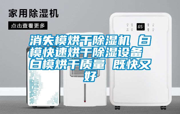 消失模烘干除濕機 白?？焖俸娓沙凉裨O備 白模烘干質量 既快又好