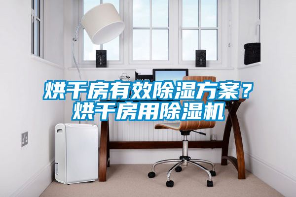 烘干房有效除濕方案？烘干房用除濕機