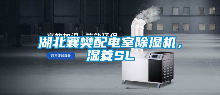 湖北襄樊配電室除濕機(jī)，濕菱SL