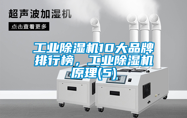 工業(yè)除濕機(jī)10大品牌排行榜，工業(yè)除濕機(jī)原理(5)