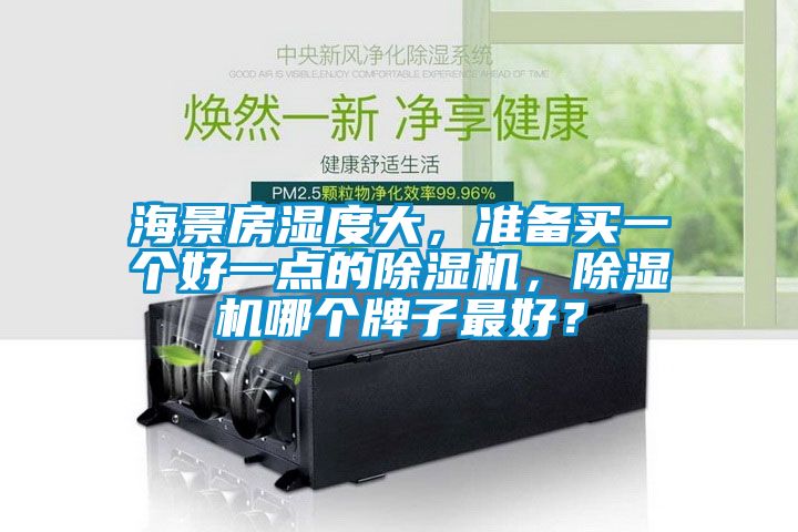 海景房濕度大，準(zhǔn)備買一個(gè)好一點(diǎn)的除濕機(jī)，除濕機(jī)哪個(gè)牌子最好？