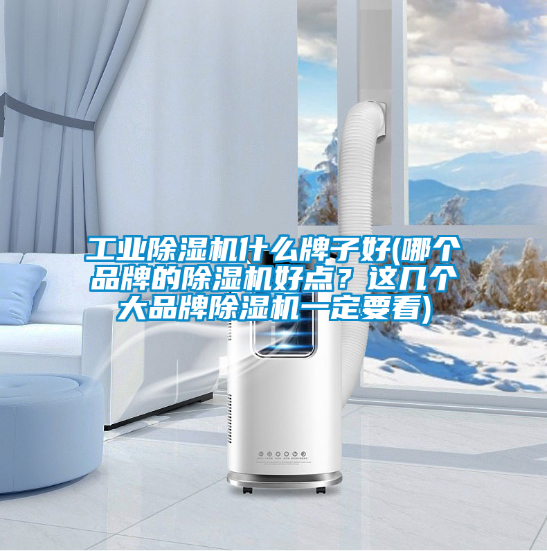 工業(yè)除濕機(jī)什么牌子好(哪個(gè)品牌的除濕機(jī)好點(diǎn)？這幾個(gè)大品牌除濕機(jī)一定要看)