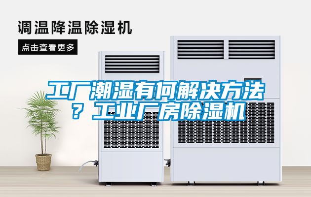 工廠潮濕有何解決方法？工業(yè)廠房除濕機(jī)
