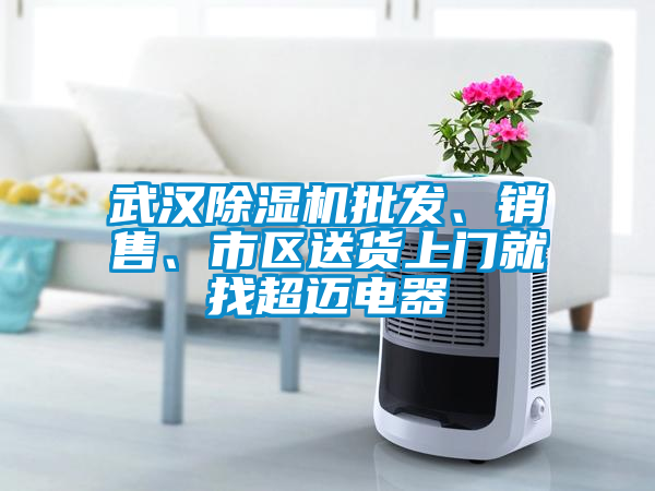 武漢除濕機(jī)批發(fā)、銷售、市區(qū)送貨上門就找超邁電器