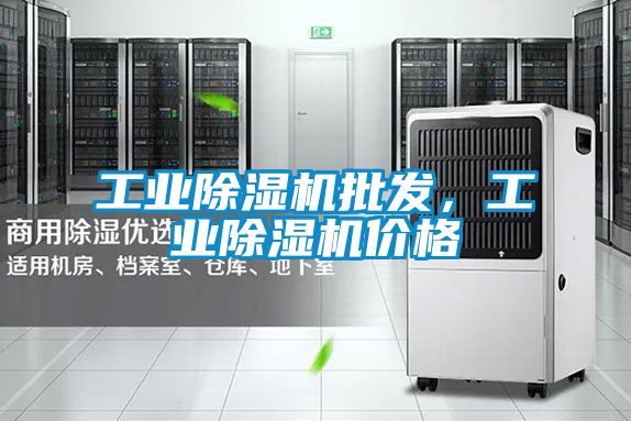 工業(yè)除濕機批發(fā)，工業(yè)除濕機價格
