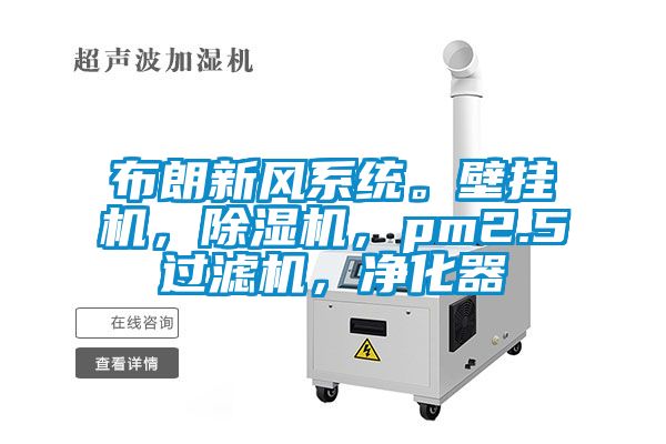 布朗新風(fēng)系統(tǒng)。壁掛機(jī)，除濕機(jī)，pm2.5過(guò)濾機(jī)，凈化器